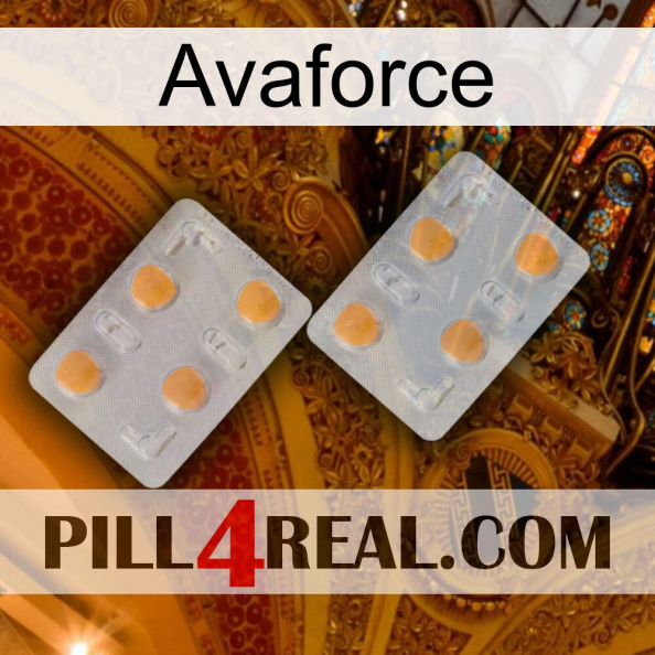 Avaforce 25.jpg